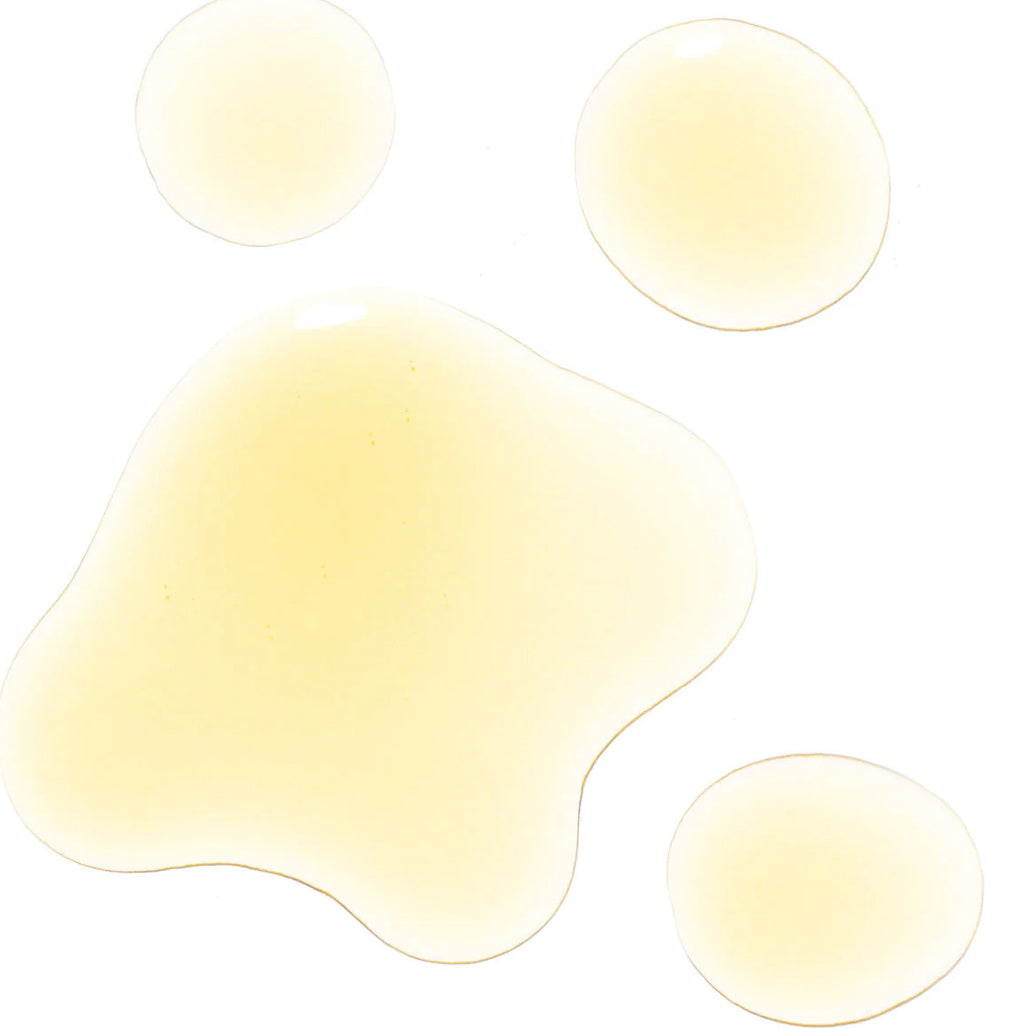 Beauty Oil
